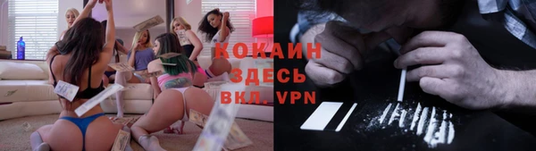 ПСИЛОЦИБИНОВЫЕ ГРИБЫ Абаза