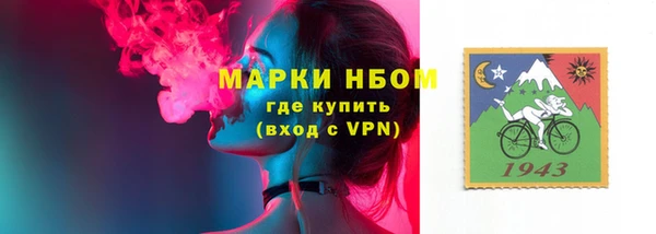ПСИЛОЦИБИНОВЫЕ ГРИБЫ Абаза