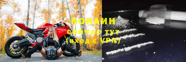 ПСИЛОЦИБИНОВЫЕ ГРИБЫ Абаза