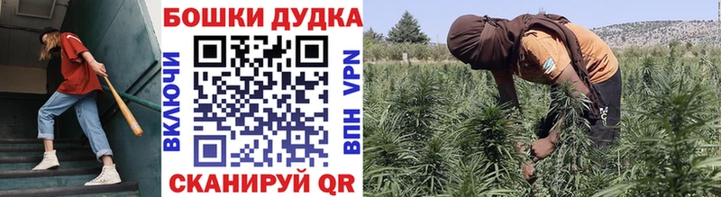 мега зеркало  Электроугли  МАРИХУАНА THC 21% 